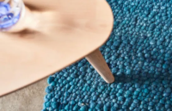 ビオペンション サティヤ