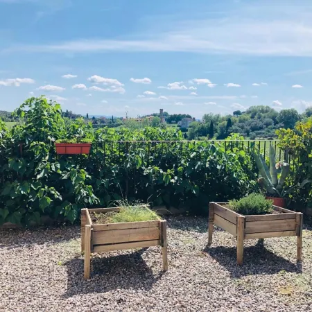 Agriturismo la Pineta
