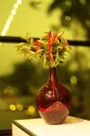 Noor Jehan's Grand Noor Hotels in Pudussery West