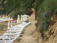 Alonissos Beach Bungalows and Suites Hotel - Beach