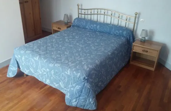 小費舍爾的避風港