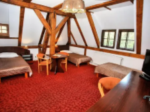 Hotel Przy Oślej Bramie - Zamek Książ Hotels in Walbrzych