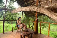 Back of Beyond - Wild Haven Hotels in Dambulla