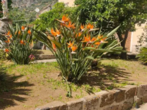 Coco's Apartments - de Vivo Realty Hotéis em Meta