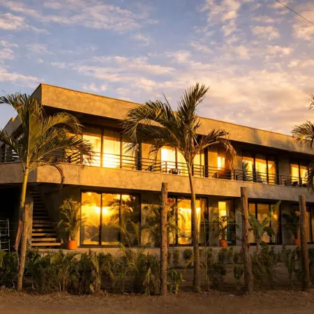 Palomino Sunrise
