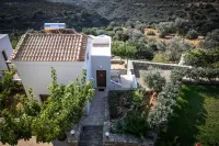 Lenikos Resort - Uima-altaat