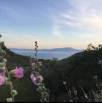 Qekik Boutique Kazdağları - pemandangan pegunungan