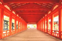 Oyado Tsukiusagi -  Habitaciones en casas particulares