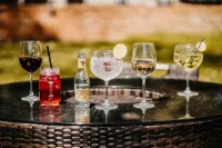 The Elephant Hotel - bar