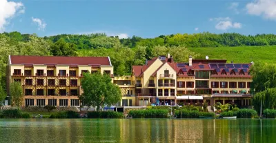 Tó Wellness Hotel Hotels in 