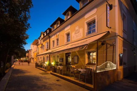 Fonte Hotel Отели в г. Дьор