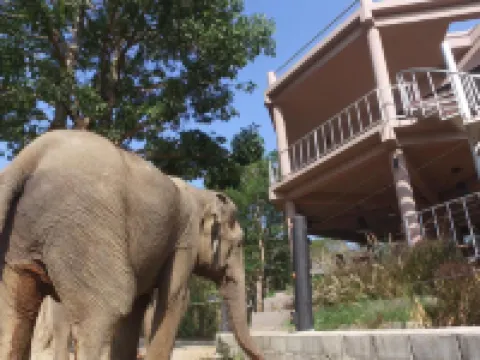 I love phants Lodge โรงแรมในอำเภอ ท่ายาง