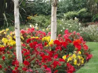 Rosdarrig Bed & Breakfast -  Privatzimmer
