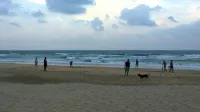 Ceylon Antheia Beach Resort - Villas