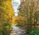 Green Acres Retreat