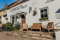 The White Hart, South Harting Hotels near Chichester Harbor