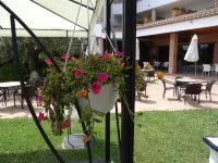 Mas Gallau