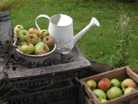 B&B Aux Gaietés de la Sabotière Hotels in Momignies