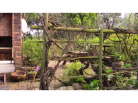 Forest Nest Cottage, Tsitsikamma Hotels in Stormsrivier