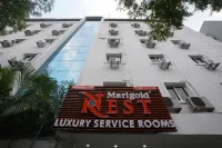 Marigold at Nest