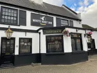 The White Hart Inn Các khách sạn ở Twickenham