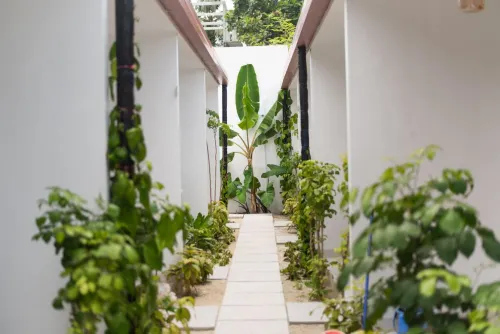 Paradise Palms - Wifi