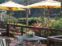 The Tops Hotels in Wilderness