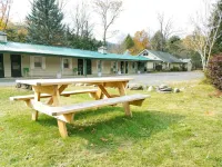 Black Bear Lodge Hotels in Lexington