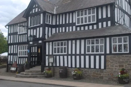 The Radnorshire Arms Hotel Отели в г. Кингтон Рурал