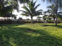 Rua Beach Resort Sumba Hotels near View Point Of Praijing Village