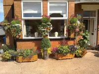 South Lodge Guest House - Parking