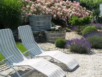 Weingut Pension Bastian Hotels in Leiwen