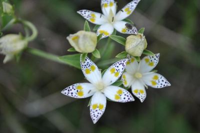 その他 レゾネイトクラブくじゅうの写真