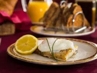The Collingdale Guest House Hotels in North Devon District