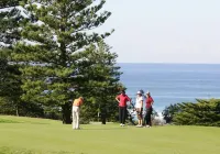 Toowoon Bay Holiday Park - 4-Star