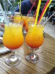 Hotel L&B- Free Parking - bar