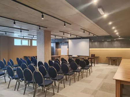 Hotel Element Отели в г. Ченеј