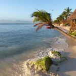 Lilas del Mar Apartments