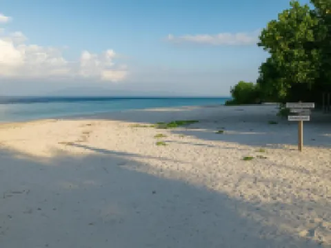 The Swan House Hotels in East Lombok Regency
