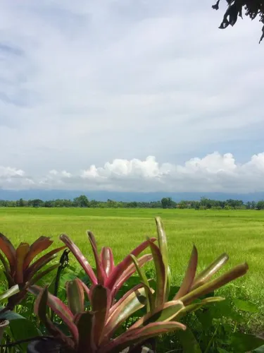 รูปภาพของOui Kaew homestay (อุ๊ยแก้วโฮมสเตย์)