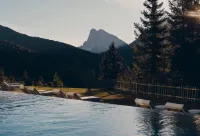 Forestis Dolomites - Pool