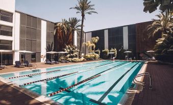 Las Gaviotas Suites Hotel & Spa