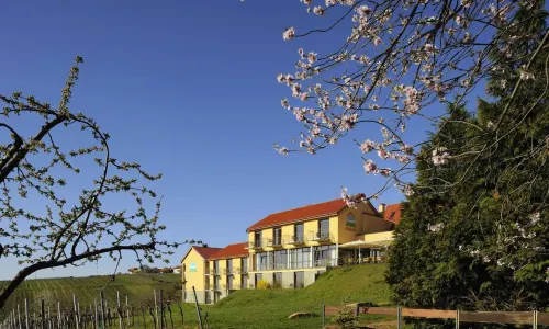 Wohlfühlhotel Alte Rebschule