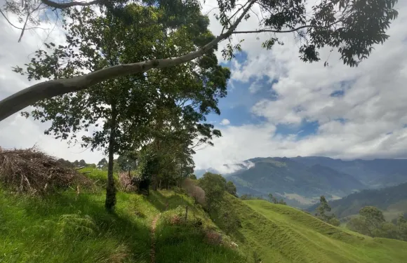 瑪塔託裏馬旅館