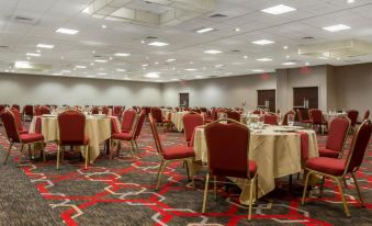 Quality Inn Lexington -Horse Park