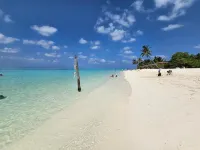 Shams Thoddoo