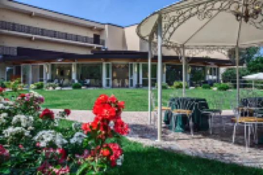 Park Hotel Junior Hotels in 