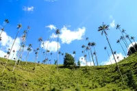 에코 호텔 라스 팔마스 데 코코라