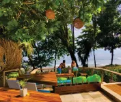 JavaCove Beach Hotel