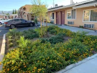 Desert Inn Motel